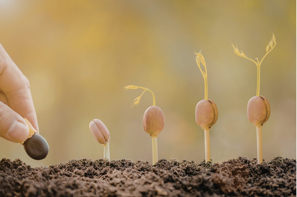 HPアイキャッチ画像用