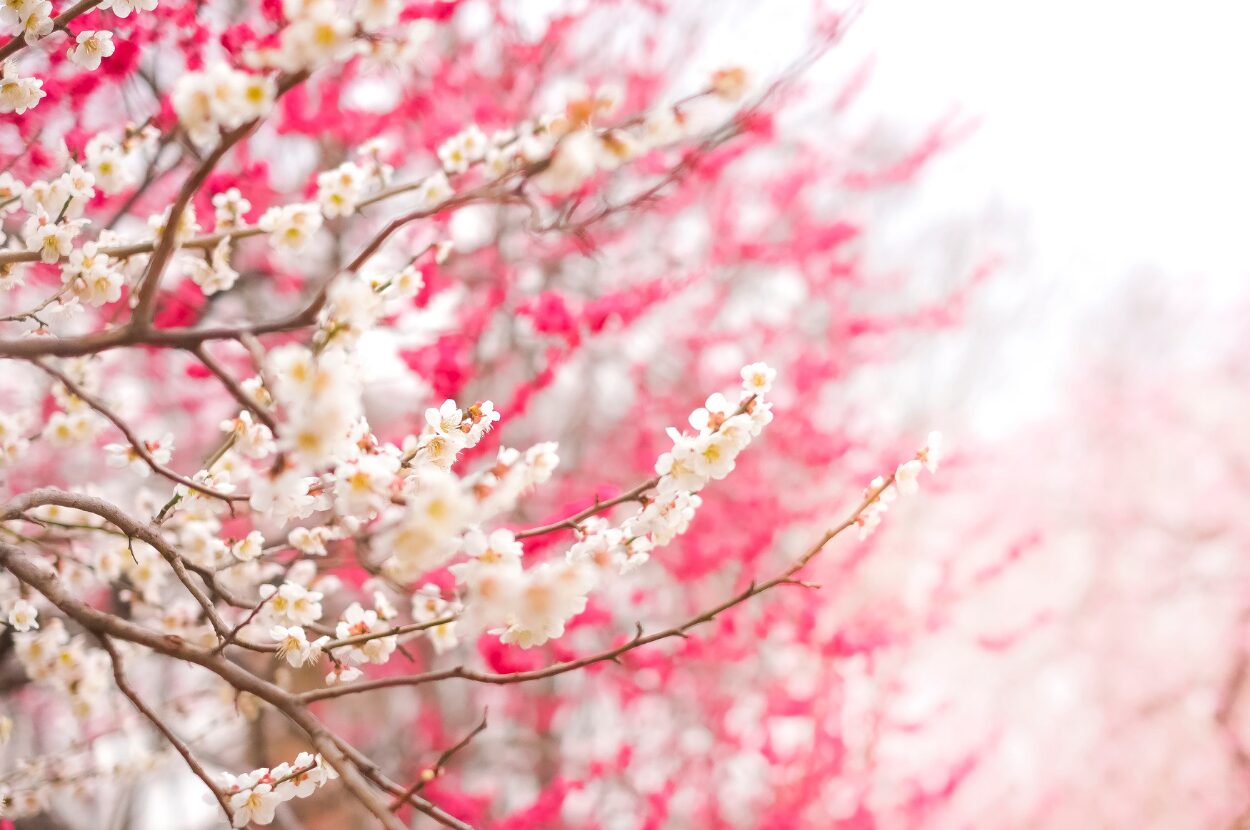 HPアイキャッチ画像用 (4)